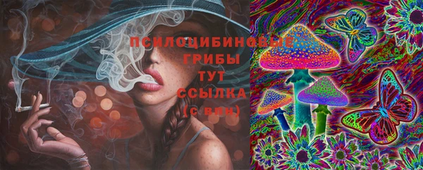 2c-b Балахна