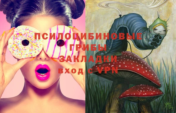 2c-b Балахна