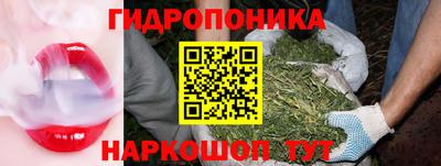 ALPHA PVP Заволжье