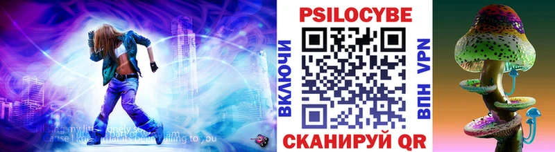 darknet какой сайт  Ногинск  Псилоцибиновые грибы Cubensis  закладка 