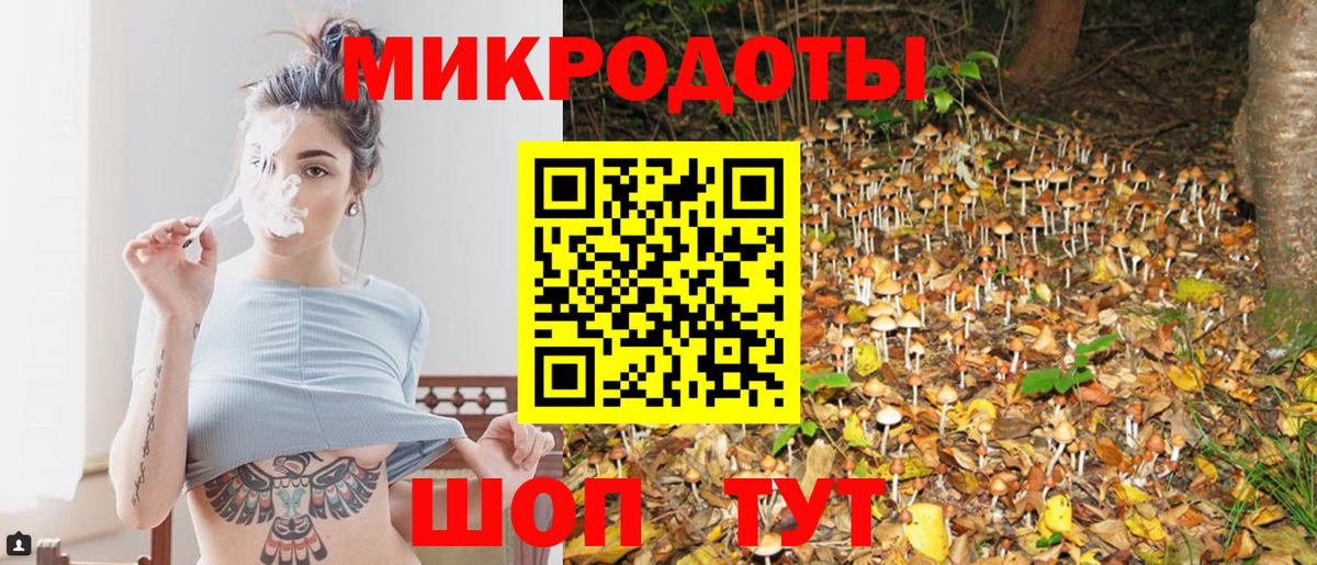 Псилоцибиновые грибы MAGIC MUSHROOMS  цены   Ногинск  Псилоцибиновые грибы прущие грибы  Вход с VPN 