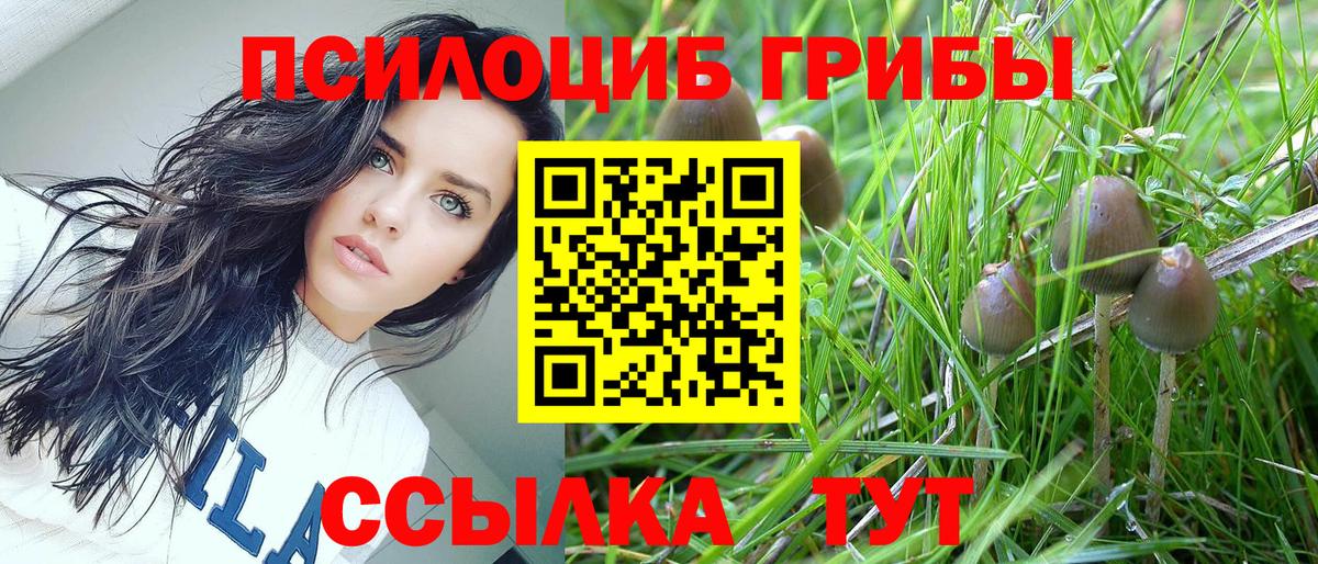 Галлюциногенные грибы прущие грибы Ногинск
